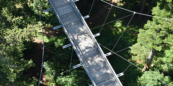 Organisationsentwicklung